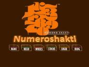 Numeroshakti- Astrologer in India