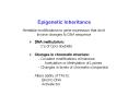 Epigenetic Inheritance PowerPoint PPT Presentation