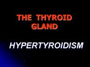THE THYROID GLAND