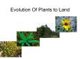 Evolution Of Plants to Land PowerPoint PPT Presentation