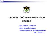 Prof.Dr.Orhan DAGLIOGLU