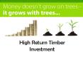 Ethical Forestry offers High Return Timber Investment PowerPoint PPT Presentation