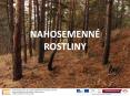 NAHOSEMENN PowerPoint PPT Presentation