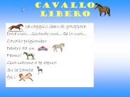 Cavallo libero