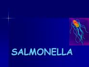 SALMONELLA