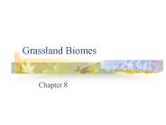 Grassland Biomes