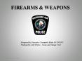 Firearms Investigation - Trends in Firearms Crime in the Thunder Bay District PowerPoint PPT Presentation