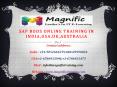SAP BODS Online Training IN INDIA,USA,UK,AUSTRALIA PowerPoint PPT Presentation