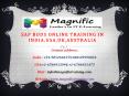 SAP BODS Online Training IN INDIA,USA,UK,AUSTRALIA (1) PowerPoint PPT Presentation