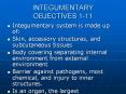 INTEGUMENTARY OBJECTIVES 1-11 PowerPoint PPT Presentation