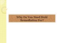 Why Do You Need Mold Remediation For?