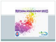 Professional web development services