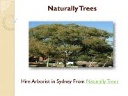 Why you Need of Tree Surgeon in Sydney