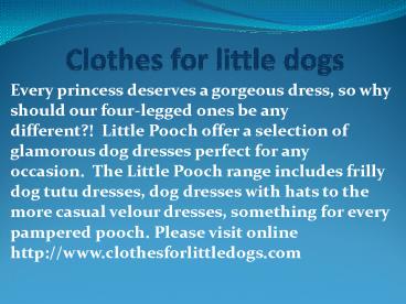 clothes for little dogs