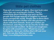 little pet clothes