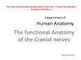 Department of Human Anatomy PowerPoint PPT Presentation