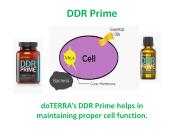 DDR Prime