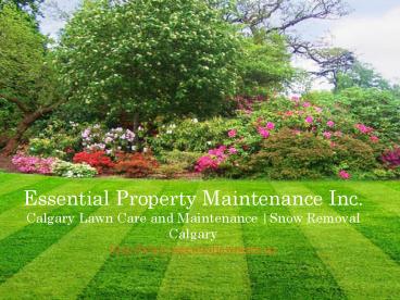 Lawn maintenance calgary