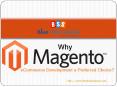 Why is Magento Ecommerce development a preferred choice? PowerPoint PPT Presentation