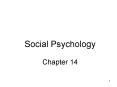 Social Psychology Chapter 14 PowerPoint PPT Presentation