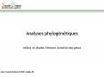 Analyses phylog PowerPoint PPT Presentation