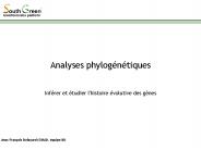 Analyses phylog