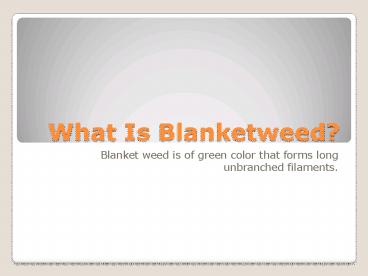 NBS VITE - Blanketweed Treatment with free delivery