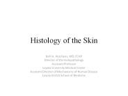 Histology of the Skin