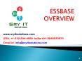 ESSBASE HYPERION ESSBASE ONLINE TRAINING | ESSBASE COURSE DETAILS | SRY IT SOLUTIONS PowerPoint PPT Presentation