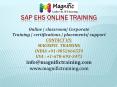 sap ehs online training PowerPoint PPT Presentation