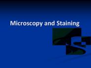 Microscopy and Staining