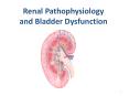 Renal II: Renal Failure and Bladder Function PowerPoint PPT Presentation