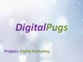 Digital Marketing Plans - DigitalPugs