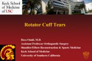Rotator Cuff Tears