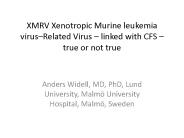 XMRV Xenotropic Murine leukemia virus