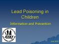 Lead Poisoning in Children PowerPoint PPT Presentation