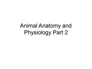 Animal Anatomy and Physiology Part 2