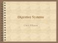 Digestive Systems PowerPoint PPT Presentation