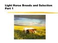 Light Horse Breeds and Selection Part 1 PowerPoint PPT Presentation