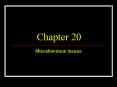 Miscellaneous Issues PowerPoint PPT Presentation