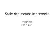 Scale-rich metabolic networks