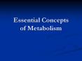 Essential Concepts of Metabolism PowerPoint PPT Presentation