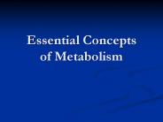 Essential Concepts of Metabolism