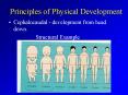 Principles of Physical Development PowerPoint PPT Presentation