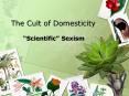 The Cult of Domesticity PowerPoint PPT Presentation