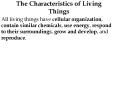 The Characteristics of Living Things PowerPoint PPT Presentation