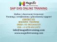 sap ehs online training PowerPoint PPT Presentation