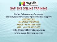sap ehs online training