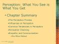 Perception: What You See is What You Get PowerPoint PPT Presentation