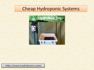 Cheap Hydroponic Systems